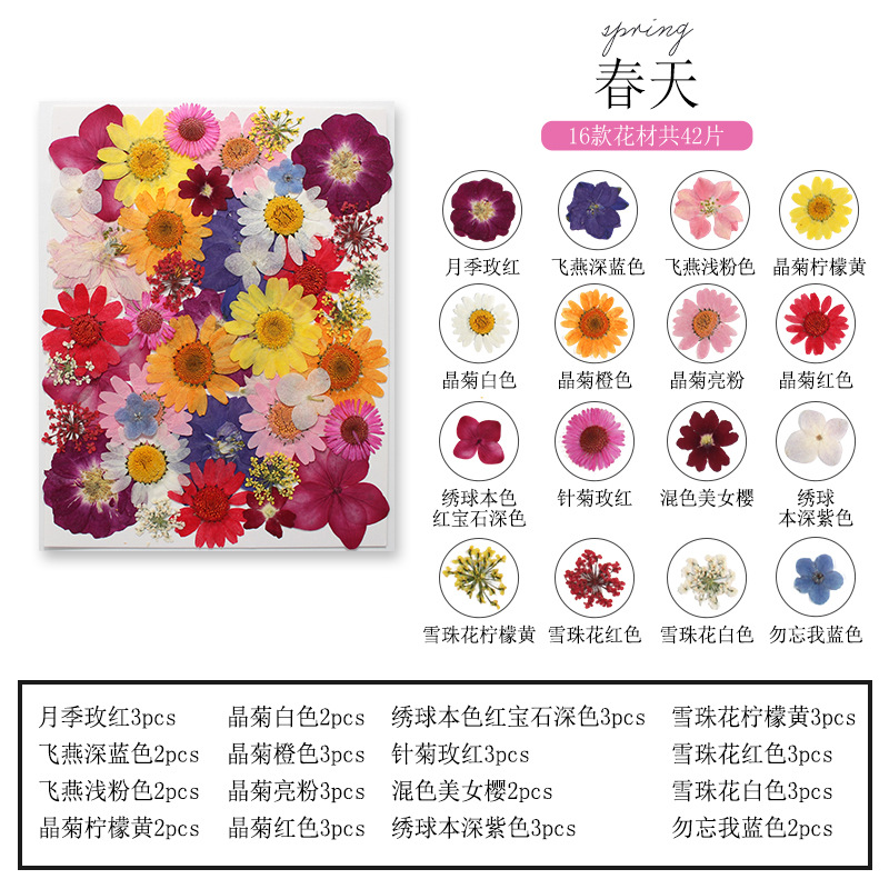 Natural Plant Flower and Leaf  - Dried Flower Bookmark ulasan dan harga